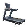 ������� ������� ���������������� ����������� Gymmaster FT-T919 - V-SPORT ��������� ���� ARMSSPORT