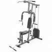 ������������������� ������� �������� DFC D70133 �������� - V-SPORT ��������� ���� ARMSSPORT