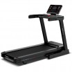 ������� ������� Ammity Fashion FTM 5118 AC s-dostavka - V-SPORT ��������� ���� ARMSSPORT