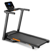������� ������� �������� SVENSSON BODY LABS BALANCE D s-dostavka - V-SPORT ��������� ���� ARMSSPORT