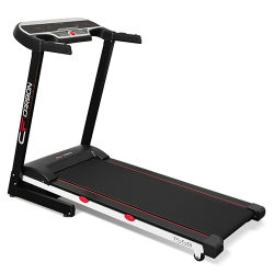 CARBON  ������� ������� - V-SPORT ��������� ���� ARMSSPORT