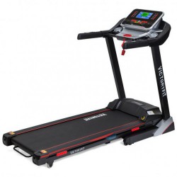 VictoryFit ������� ������� - V-SPORT ��������� ���� ARMSSPORT
