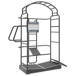 BRONZE GYM BR-1028 ���� ��� �������� - V-SPORT ��������� ���� ARMSSPORT