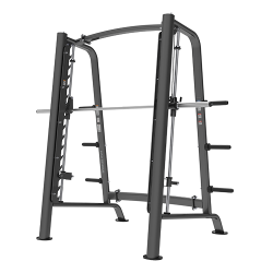 BRONZE GYM PL-1721 ������ ����� - V-SPORT ��������� ���� ARMSSPORT