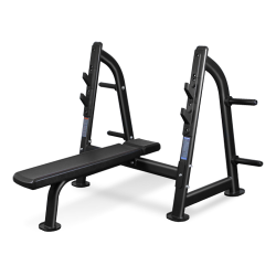 BRONZE GYM BR-1012 ������ ��� ���� �������������� - V-SPORT ��������� ���� ARMSSPORT