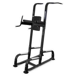 BRONZE GYM BR-1017 ������/������/����� - V-SPORT ��������� ���� ARMSSPORT
