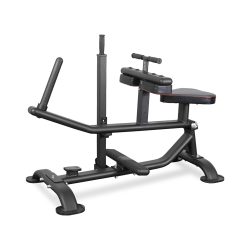 ������� �������� BRONZE GYM PL-1719 ������ ���� - V-SPORT ��������� ���� ARMSSPORT