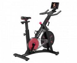 ������������ Yesoul BS3-B PRO - V-SPORT ��������� ���� ARMSSPORT