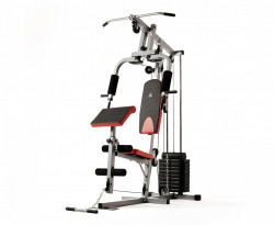 ������� �������� DFC HomeGym D7001 - V-SPORT ��������� ���� ARMSSPORT