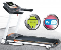 ������������� ������� ������� Fitex Stells s-dostavka - V-SPORT ��������� ���� ARMSSPORT