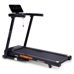 ������� ������� �������� SVENSSON BODY LABS BALANCE C s-dostavka - V-SPORT ��������� ���� ARMSSPORT