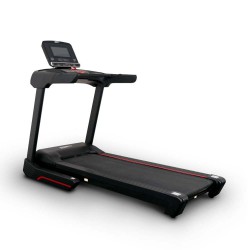 ������������� ������� ������� Everyfit 75005LT s-dostavka - V-SPORT ��������� ���� ARMSSPORT