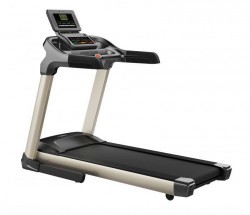 Fitex ������� ������� - V-SPORT ��������� ���� ARMSSPORT